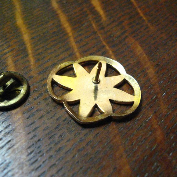 Girl Scout Daisy Jewelry Girl Scout Daisy Membership Vintage Lapel